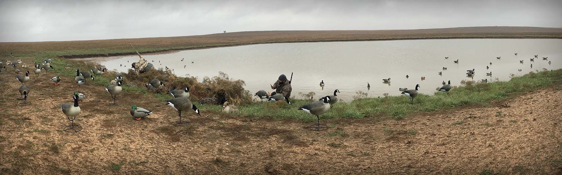Fowl Farms - Videos