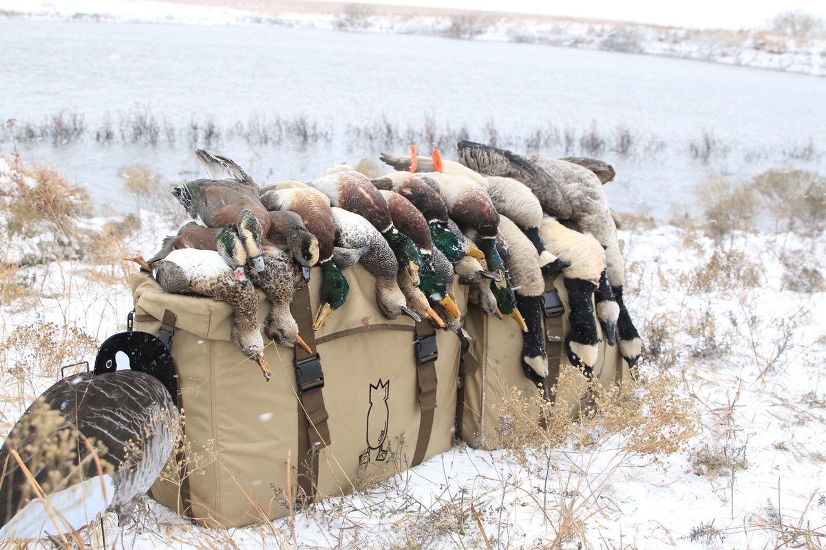 OUTFITTING