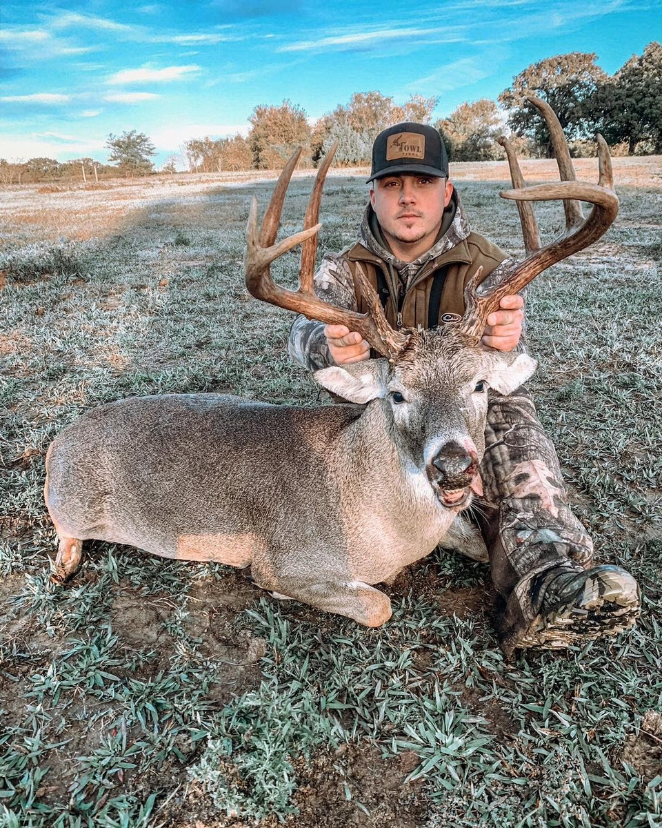 WHITETAIL