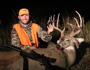 Whitetail
