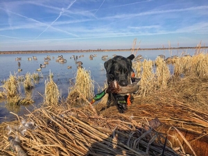 Richland Duck Club