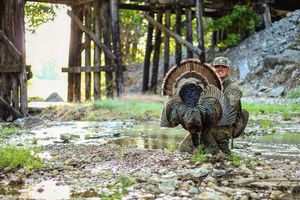 Turkey Hunting